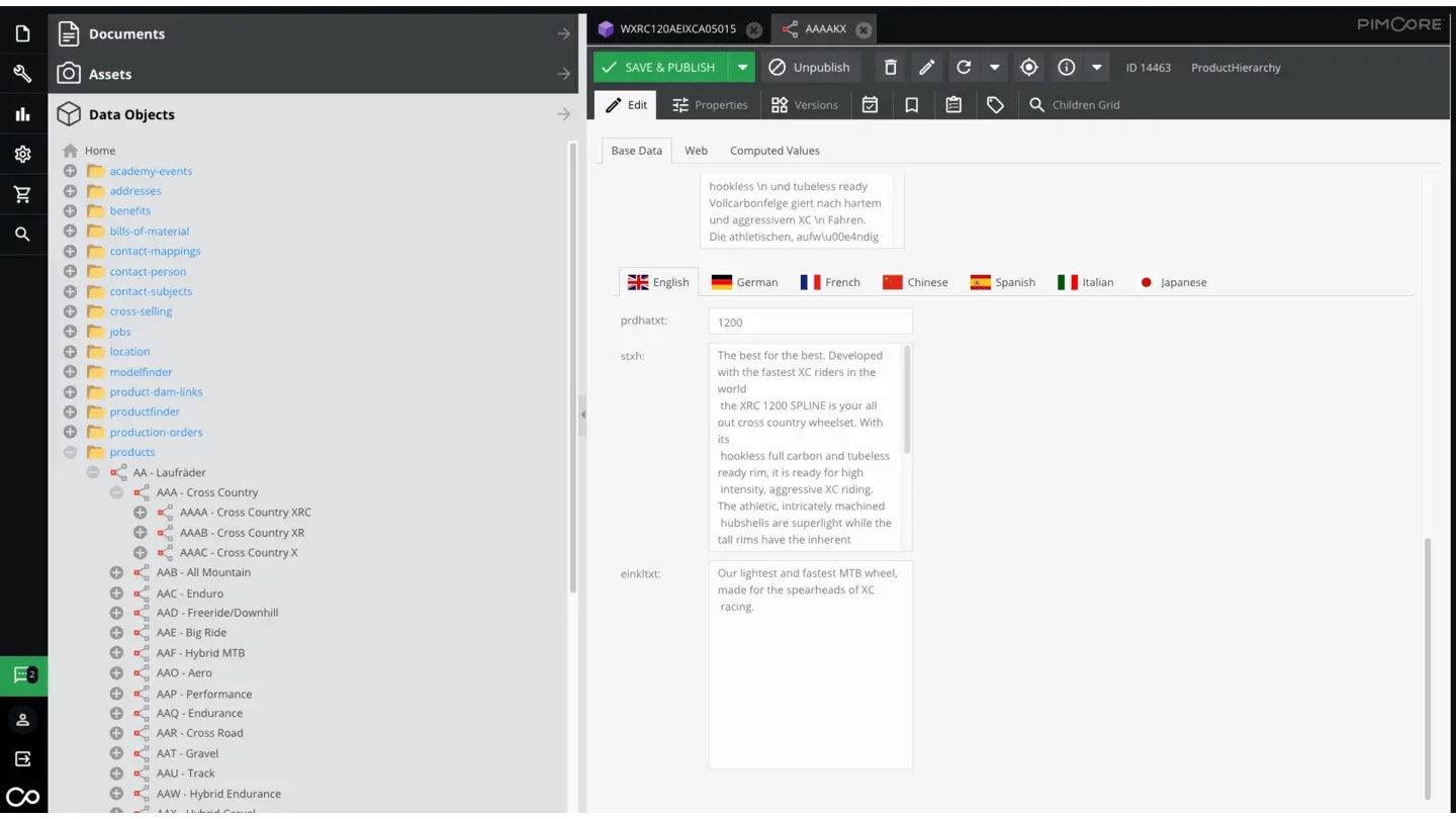 Case Study: DT Swiss-Impression #4.1